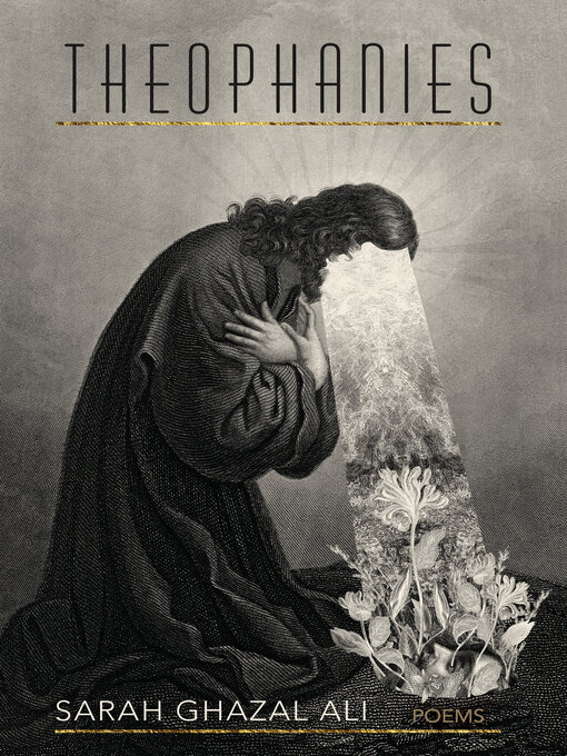 Cover image for Theophanies